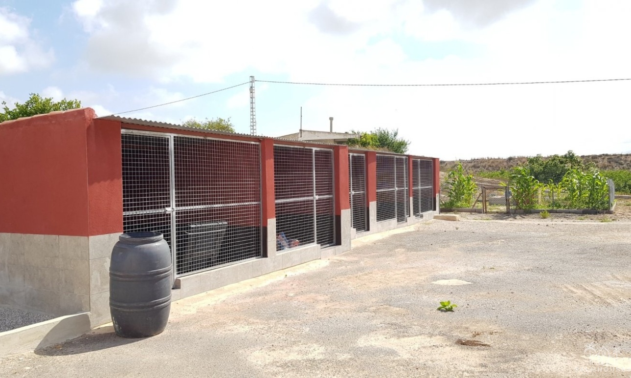 Revente - Finca - Los Montesinos