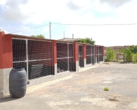 Revente - Finca - Los Montesinos