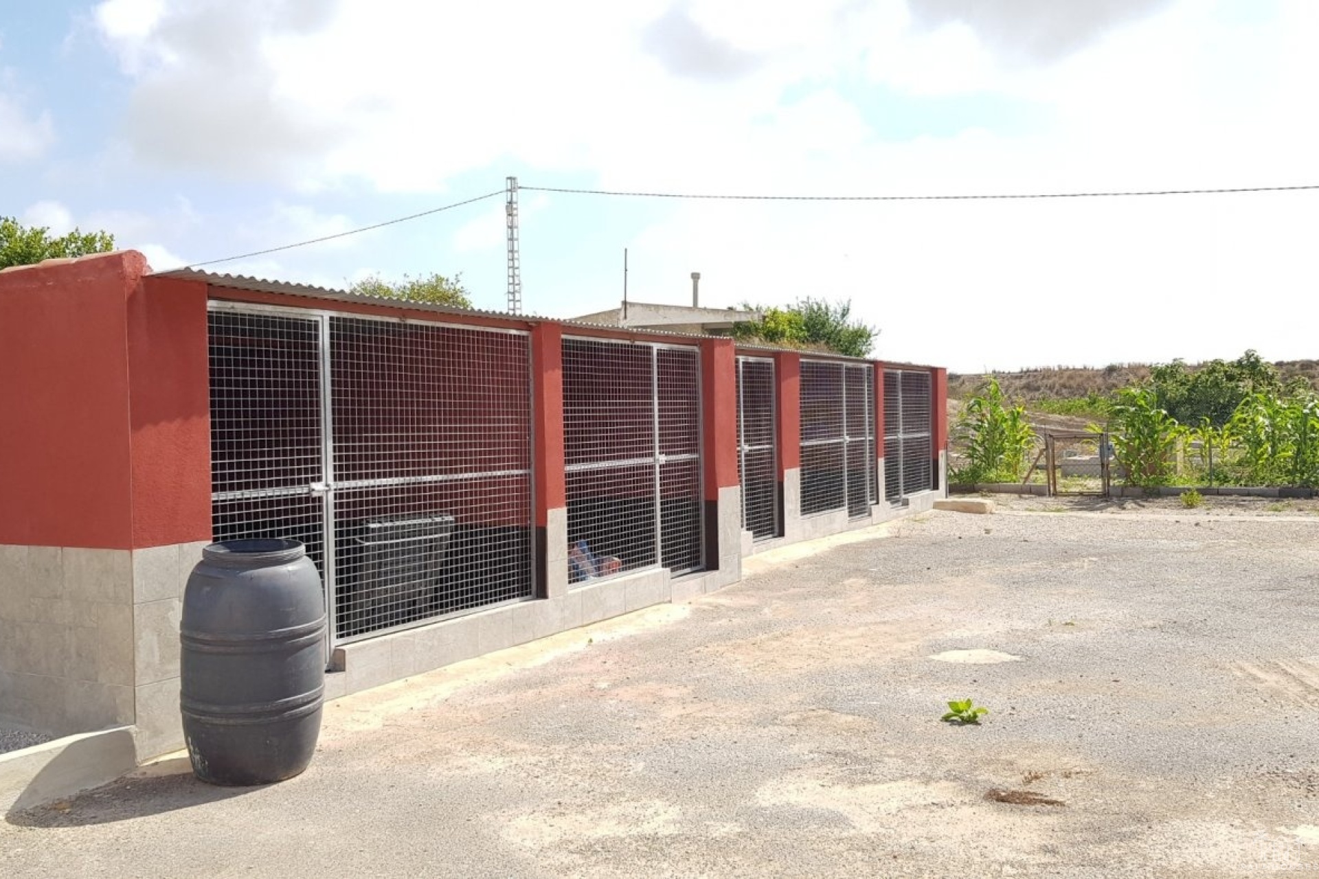Revente - Finca - Los Montesinos