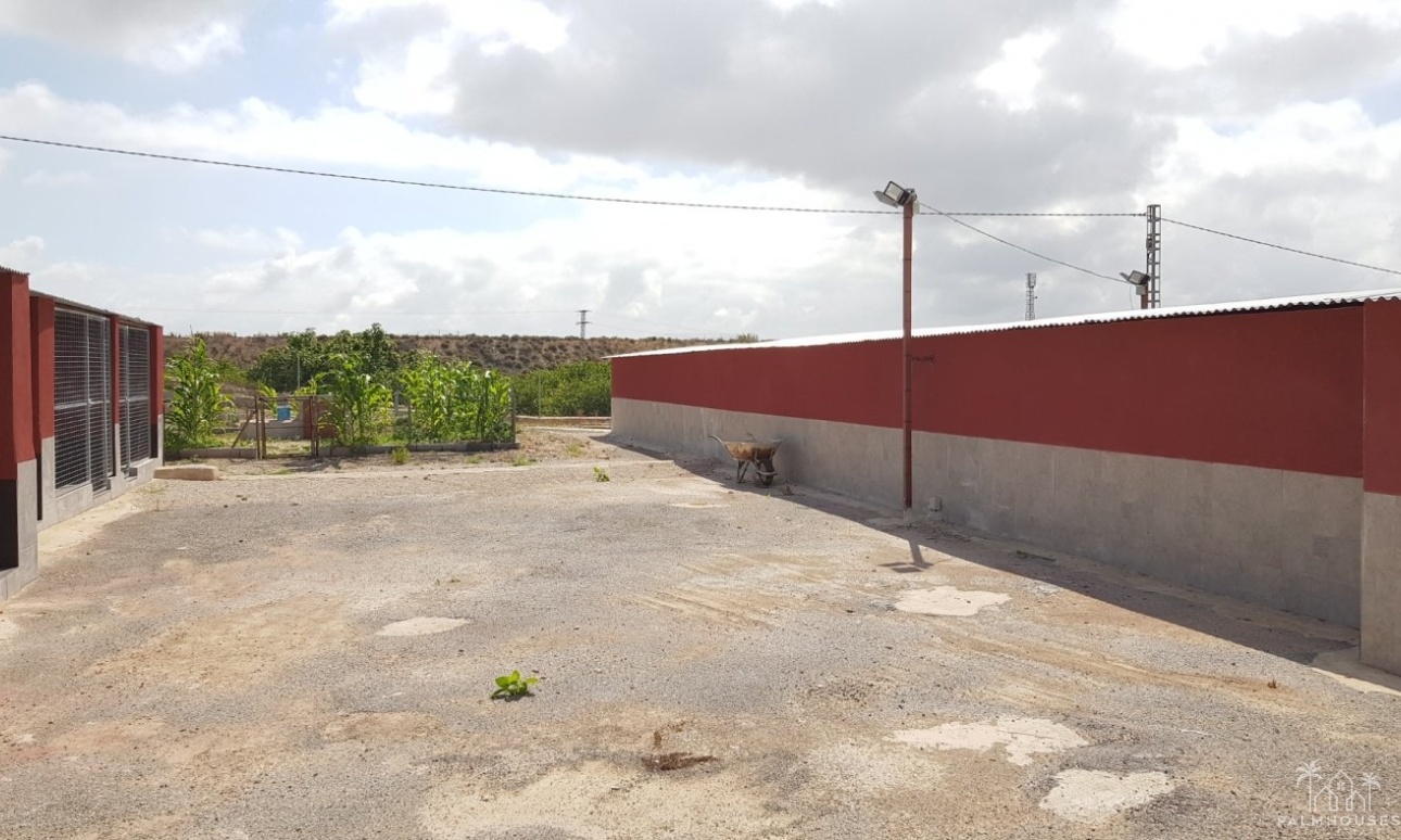 Revente - Finca - Los Montesinos