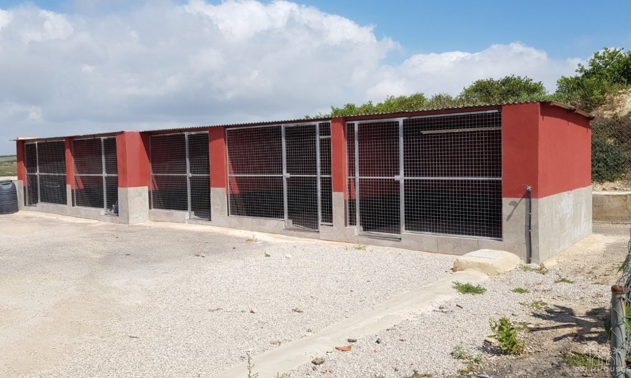 Revente - Finca - Los Montesinos