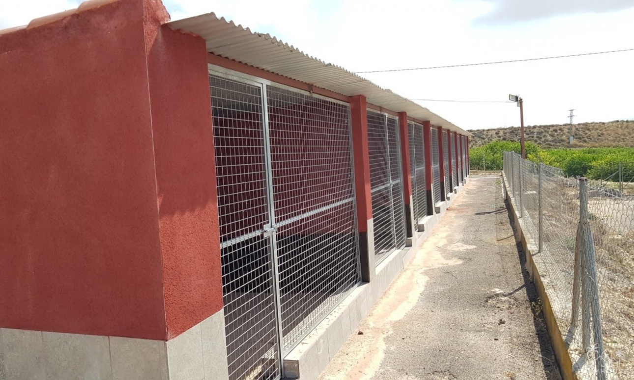 Revente - Finca - Los Montesinos