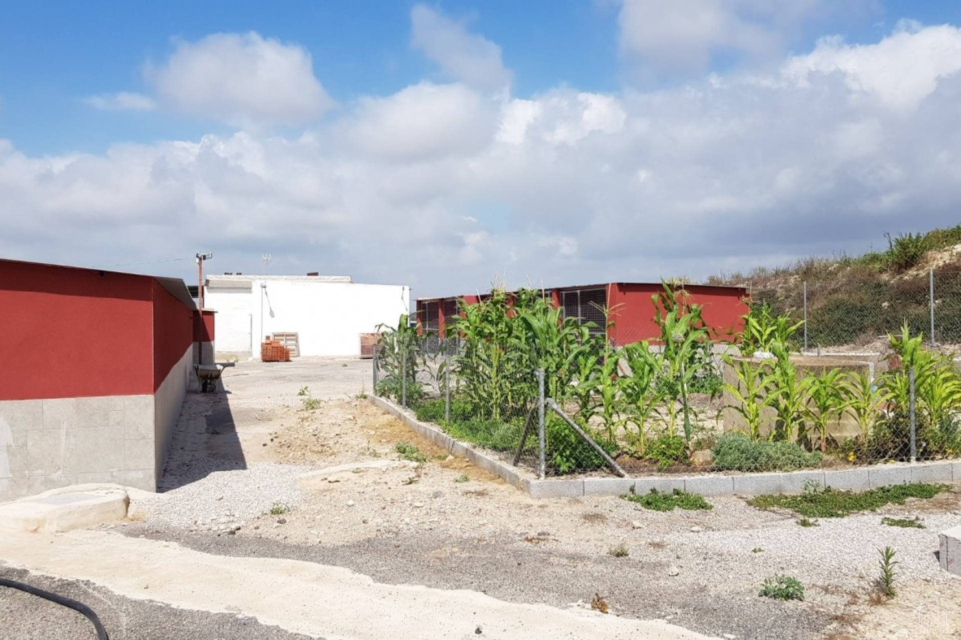 Revente - Finca - Los Montesinos