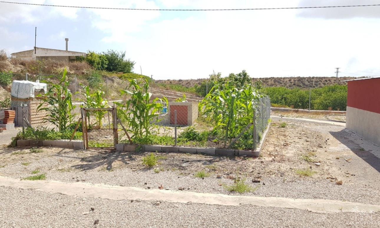 Revente - Finca - Los Montesinos