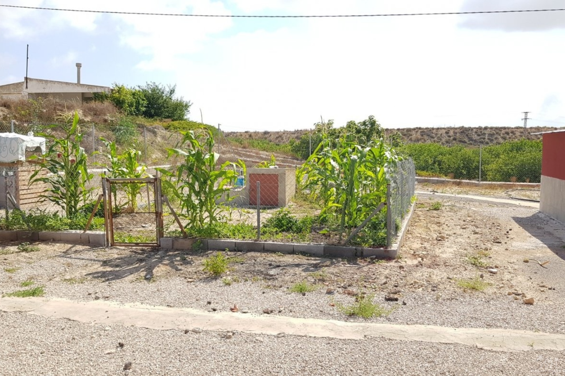 Revente - Finca - Los Montesinos