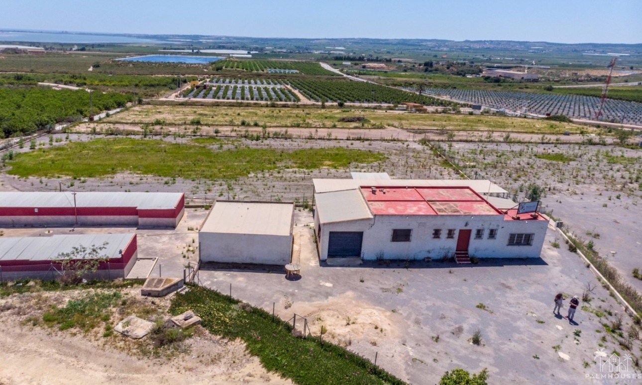 Revente - Finca - Los Montesinos