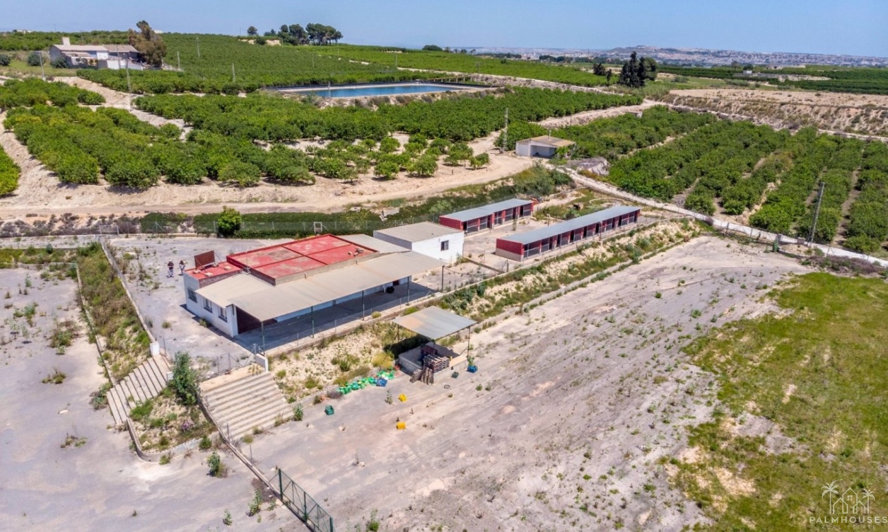 Revente - Finca - Los Montesinos