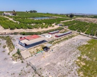 Revente - Finca - Los Montesinos