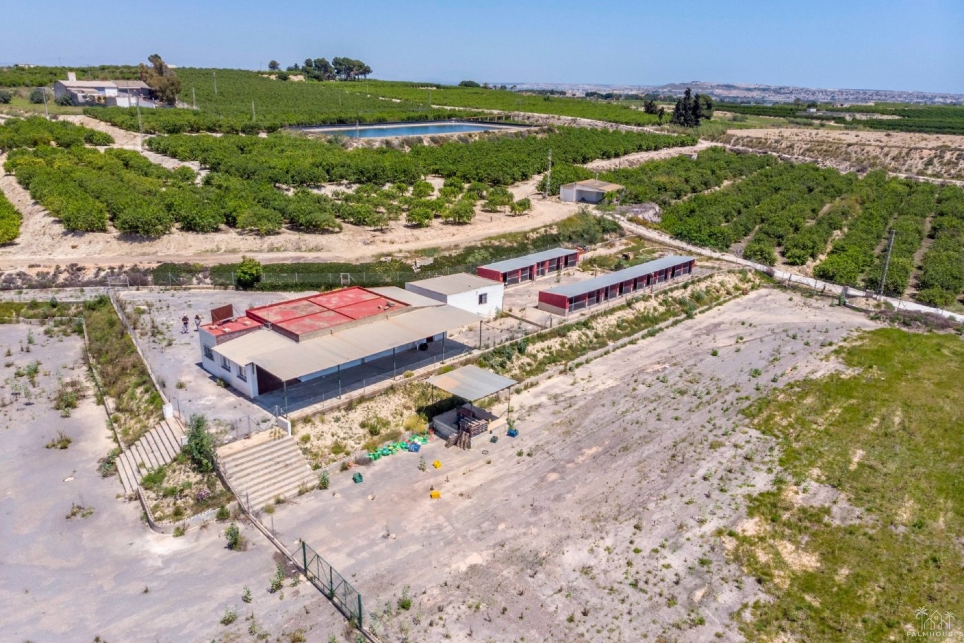 Revente - Finca - Los Montesinos