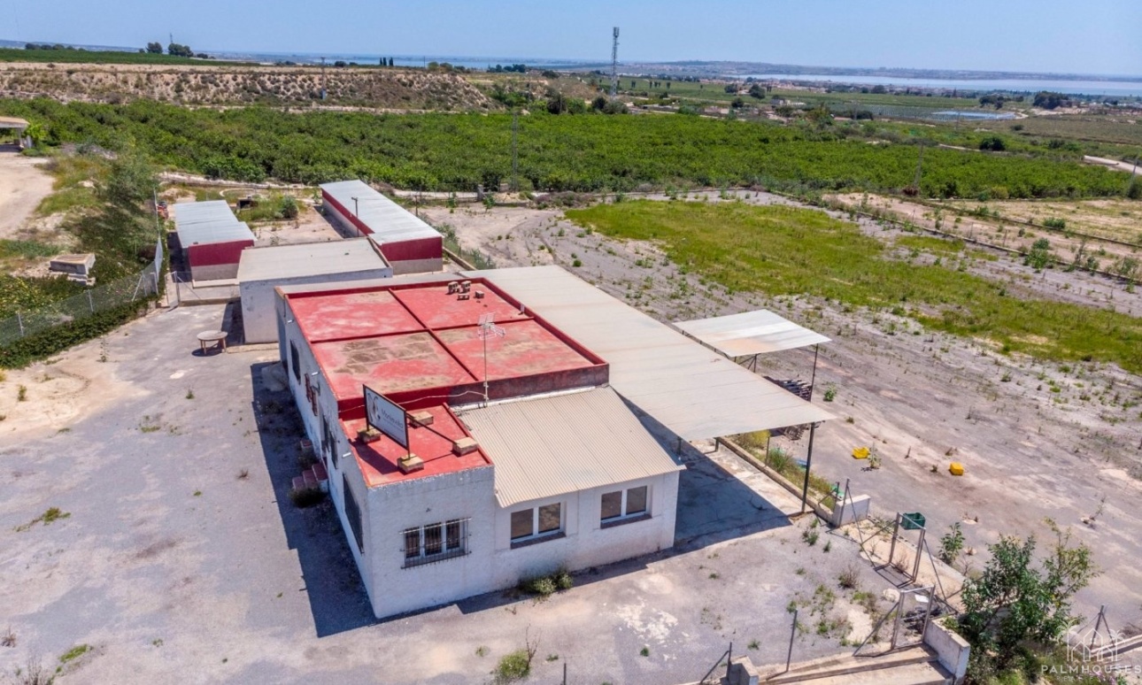 Revente - Finca - Los Montesinos