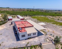 Revente - Finca - Los Montesinos