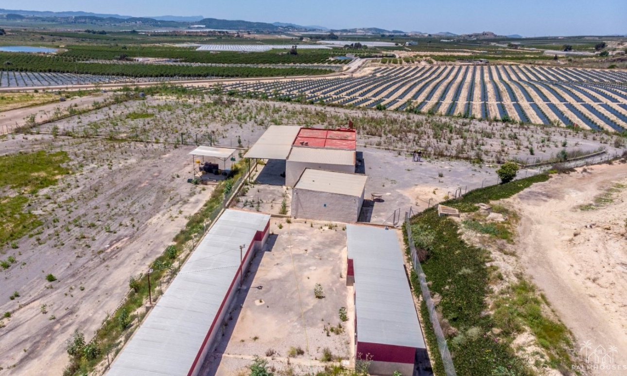 Revente - Finca - Los Montesinos