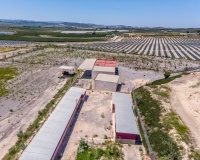 Revente - Finca - Los Montesinos