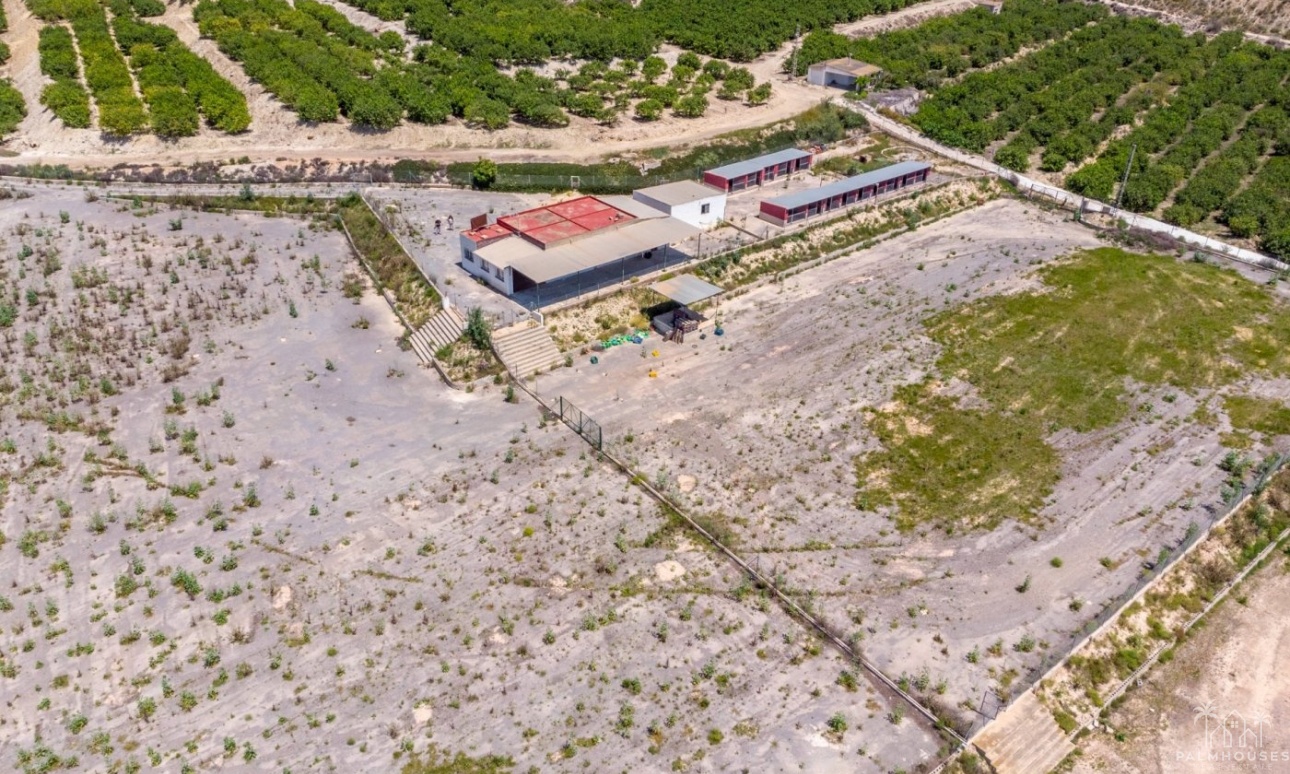 Revente - Finca - Los Montesinos