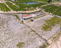 Revente - Finca - Los Montesinos