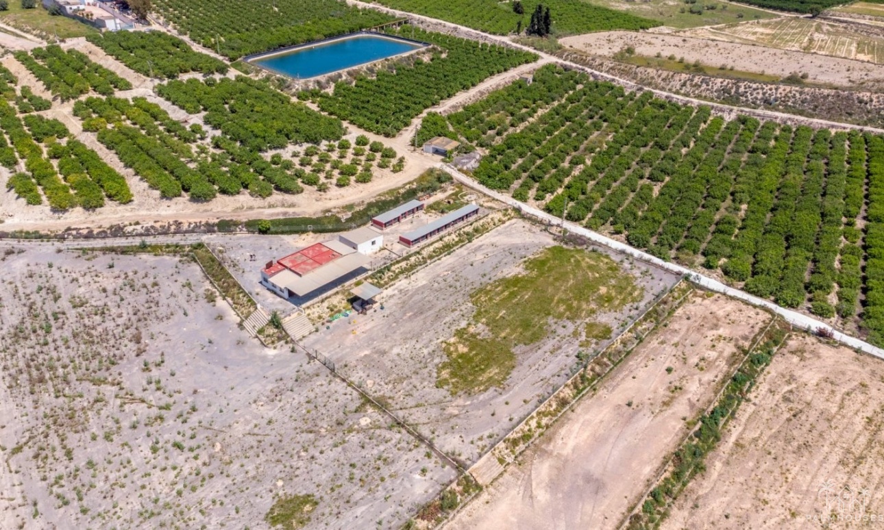 Revente - Finca - Los Montesinos