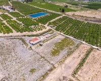 Revente - Finca - Los Montesinos