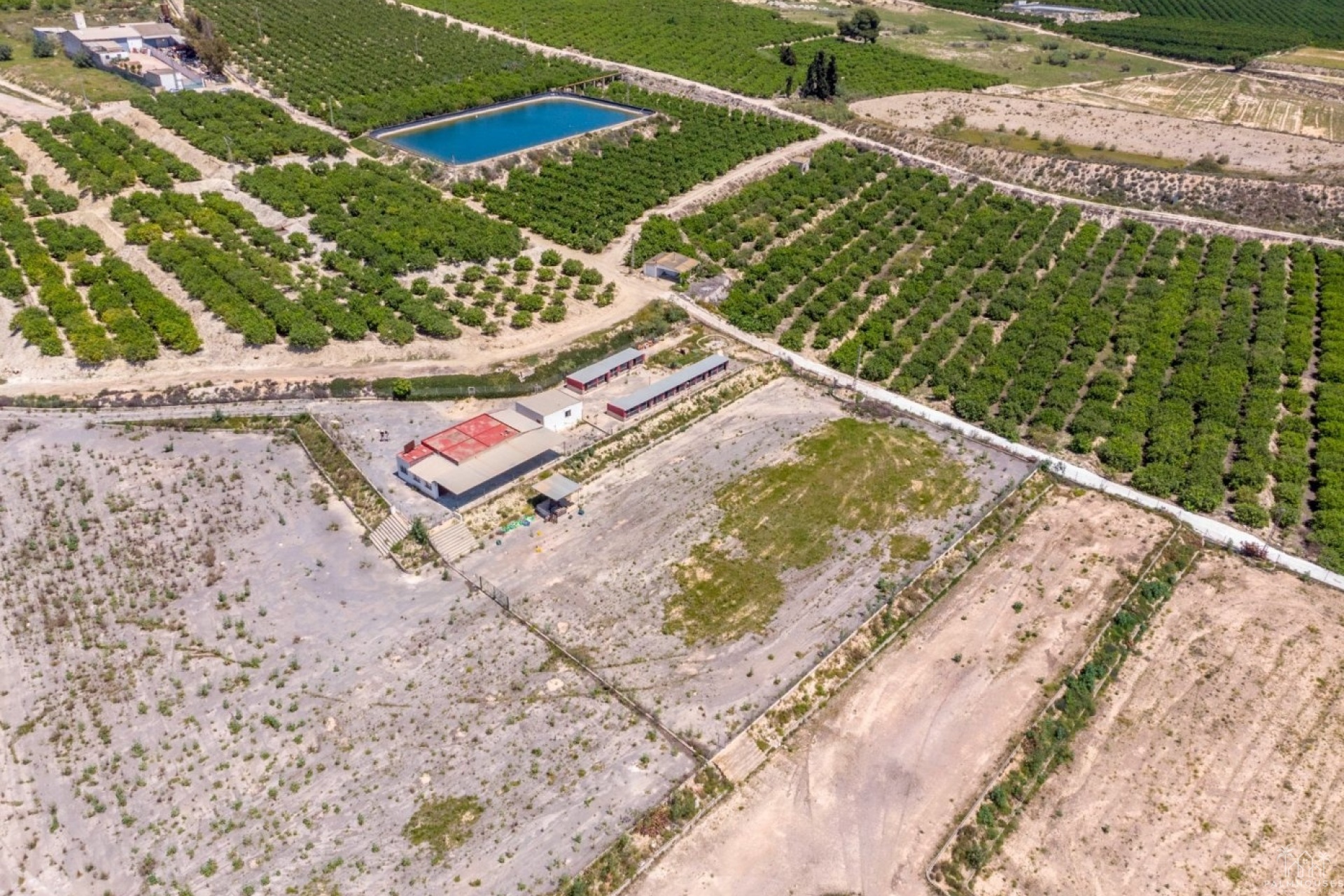 Revente - Finca - Los Montesinos
