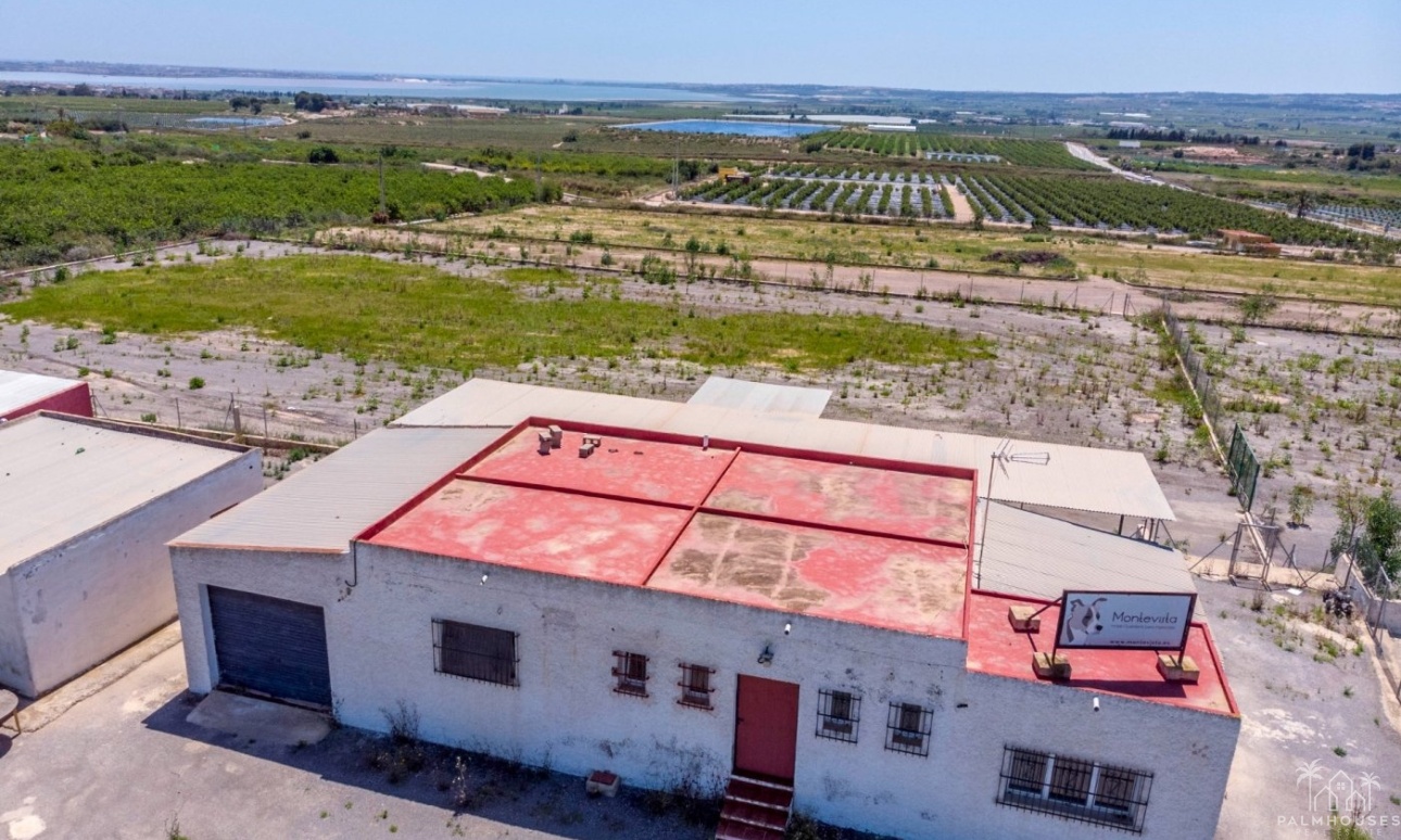 Revente - Finca - Los Montesinos