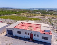 Revente - Finca - Los Montesinos