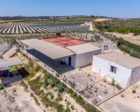 Revente - Finca - Los Montesinos