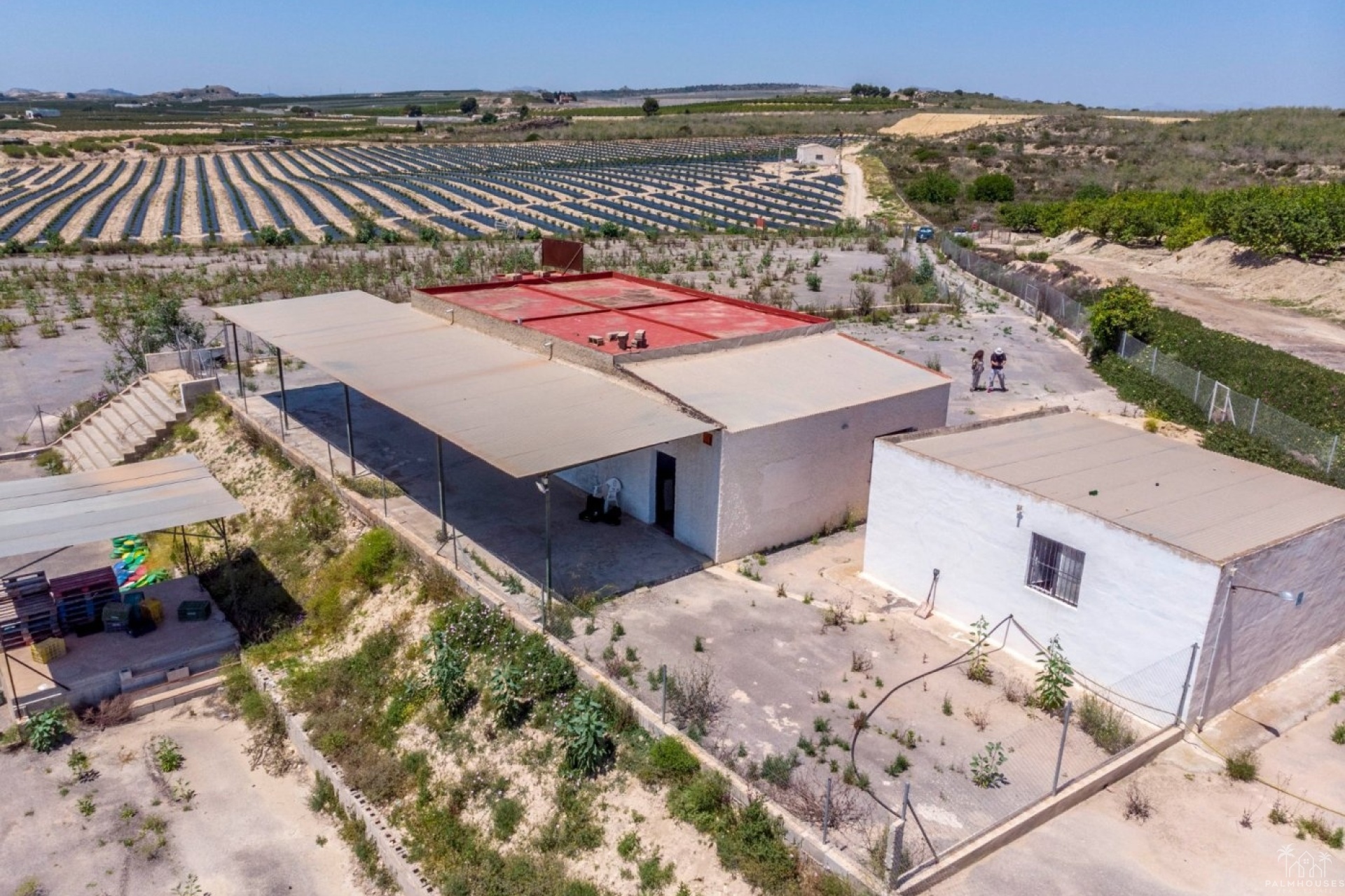 Revente - Finca - Los Montesinos