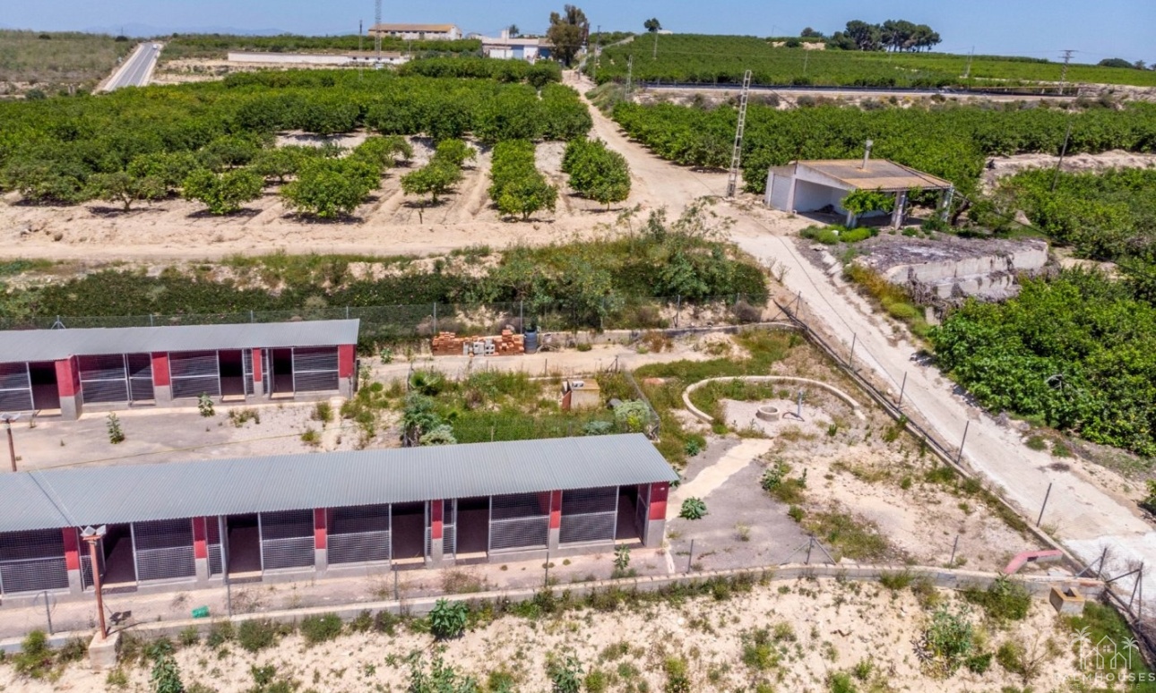 Revente - Finca - Los Montesinos