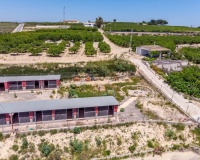 Revente - Finca - Los Montesinos