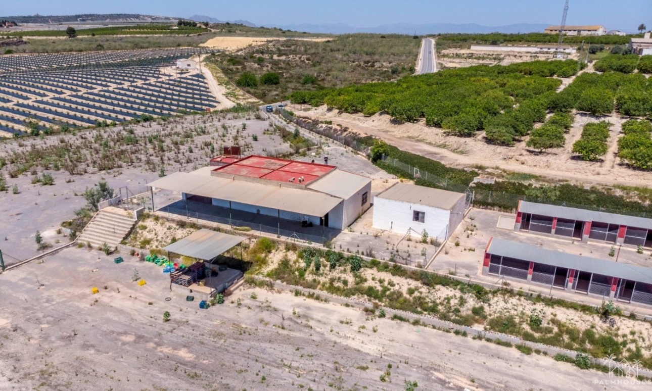 Revente - Finca - Los Montesinos