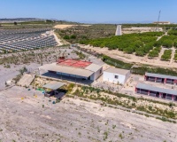 Revente - Finca - Los Montesinos