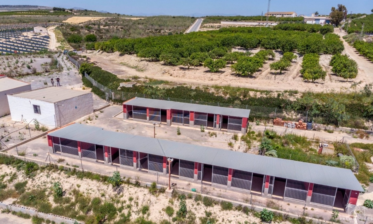 Revente - Finca - Los Montesinos