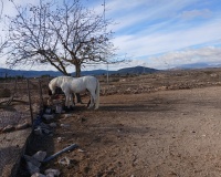 Revente - Finca - Monóvar/Monóver - Inland