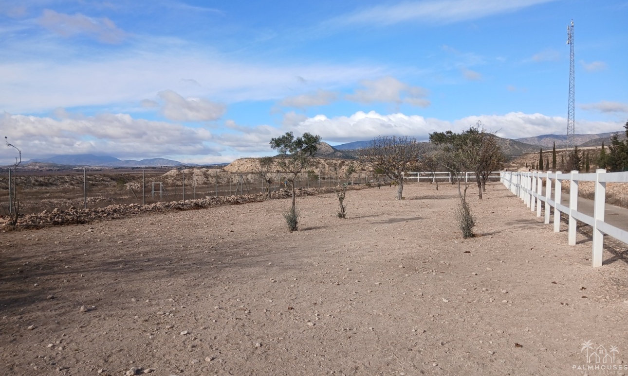Revente - Finca - Monóvar/Monóver - Inland