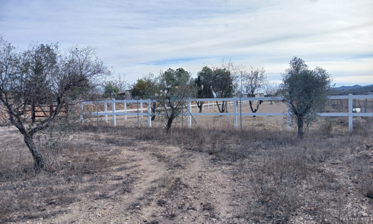 Revente - Finca - Monóvar/Monóver - Inland