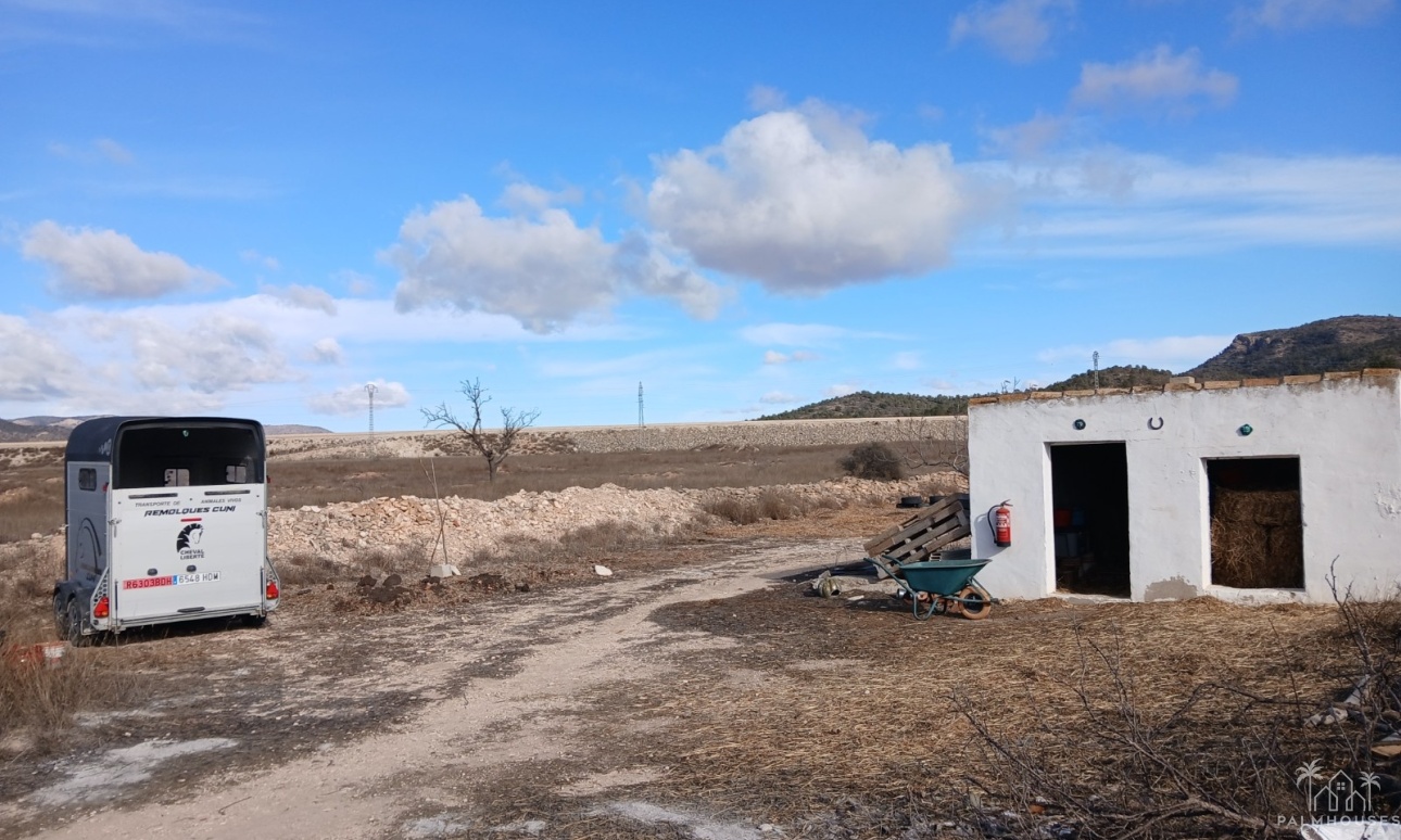 Revente - Finca - Monóvar/Monóver - Inland
