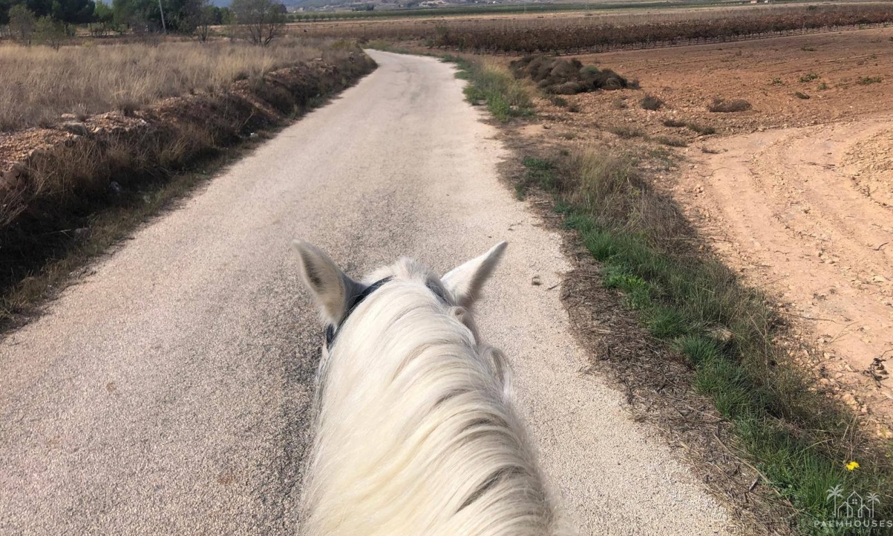 Revente - Finca - Monóvar/Monóver - Inland