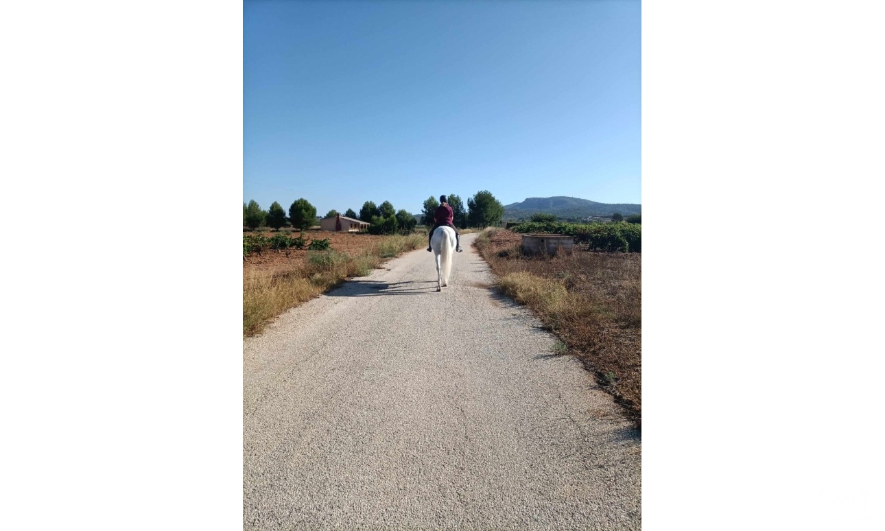 Revente - Finca - Monóvar/Monóver - Inland