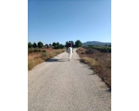 Revente - Finca - Monóvar/Monóver - Inland