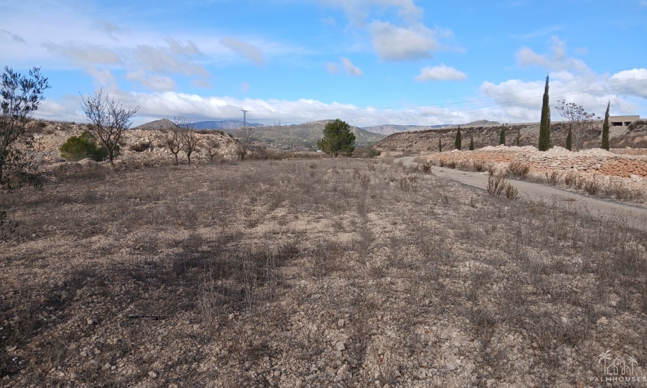 Revente - Finca - Monóvar/Monóver - Inland