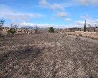 Revente - Finca - Monóvar/Monóver - Inland