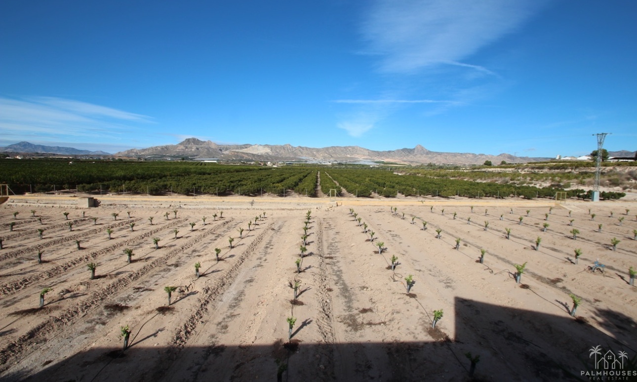 Revente - Finca - Murcia - Inland