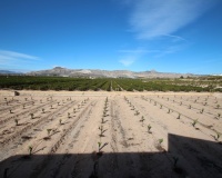 Revente - Finca - Murcia - Inland
