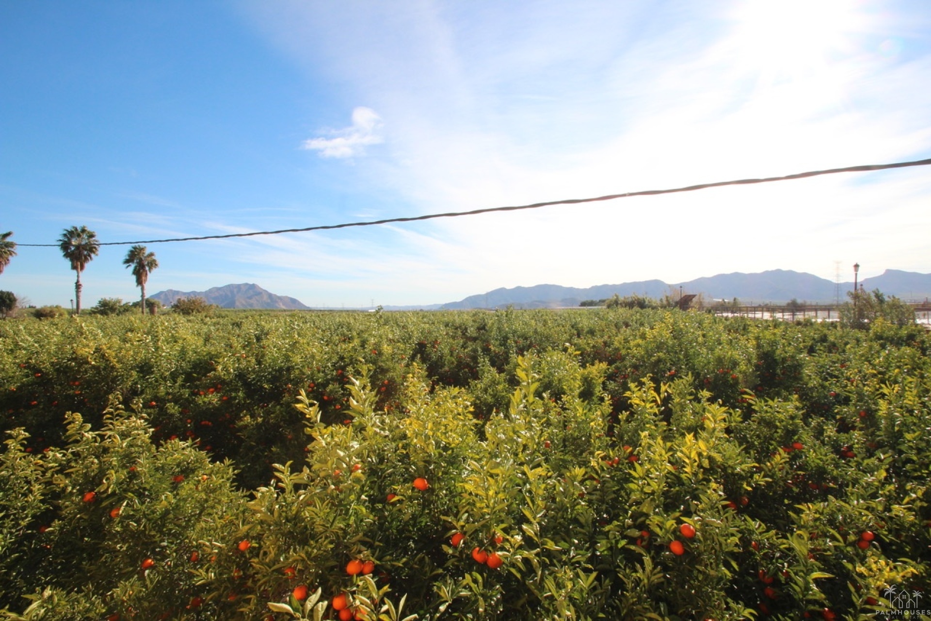 Revente - Finca - Murcia - Inland