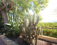 Revente - Finca - Murcia - Inland