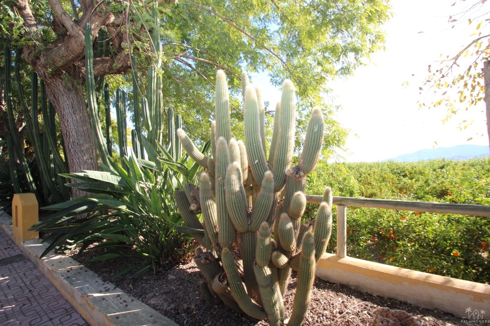 Revente - Finca - Murcia - Inland