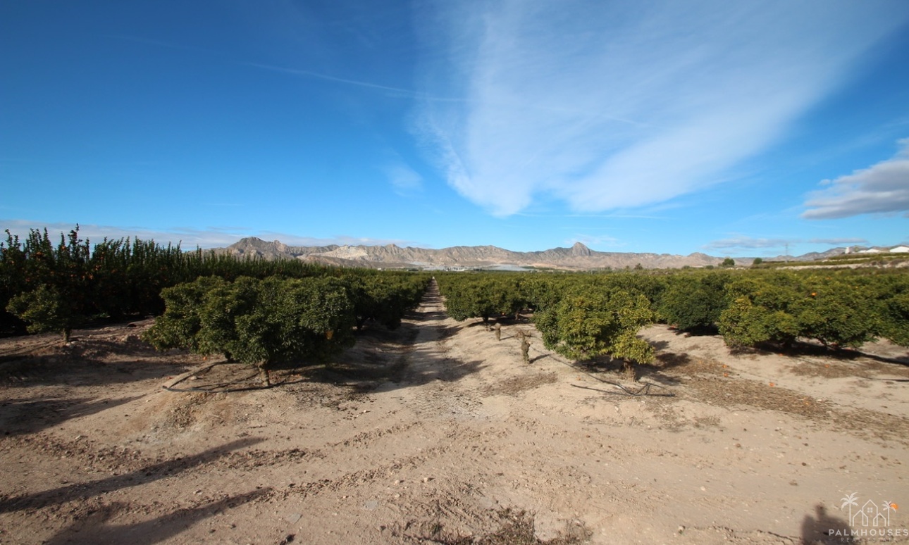 Revente - Finca - Murcia - Inland