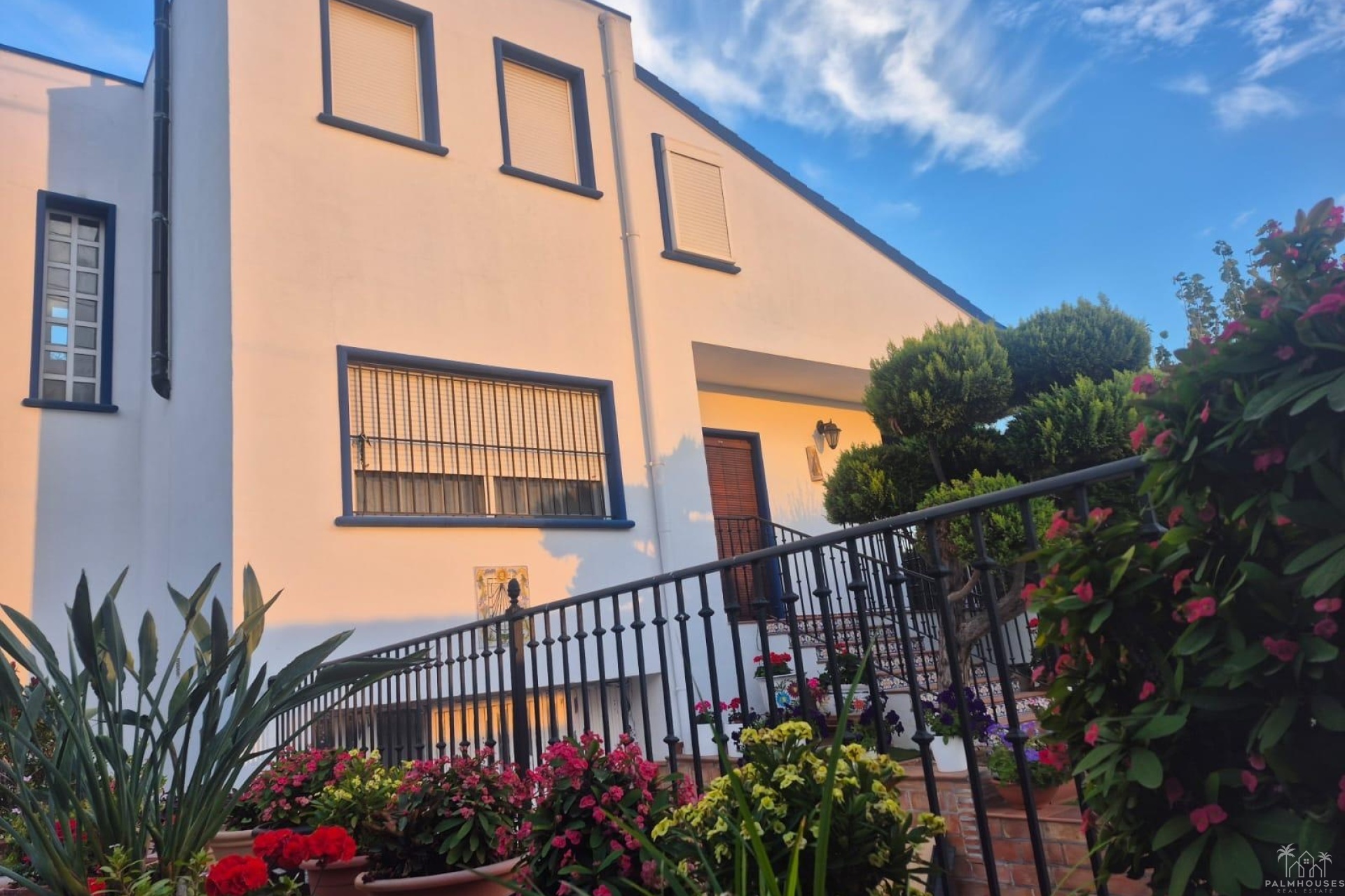 Revente - Finca - Orihuela - Casco Histórico