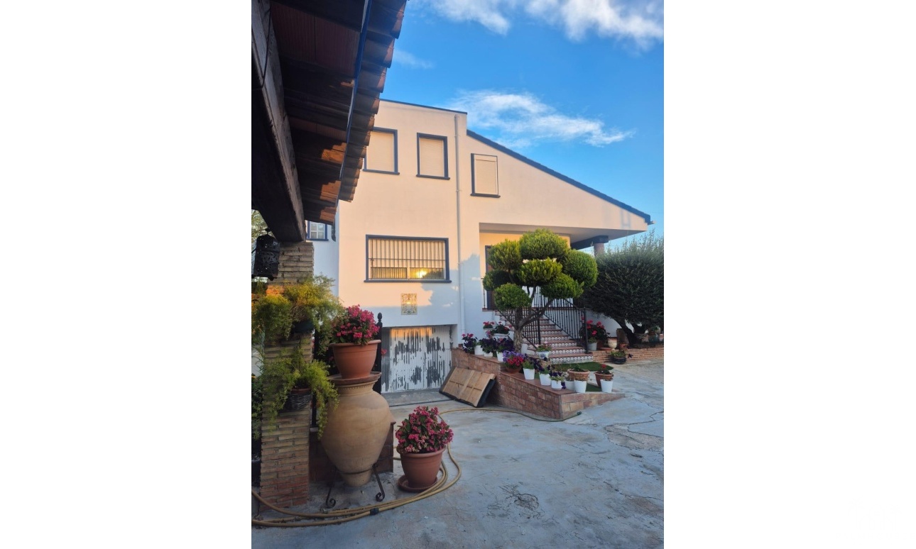 Revente - Finca - Orihuela - Casco Histórico