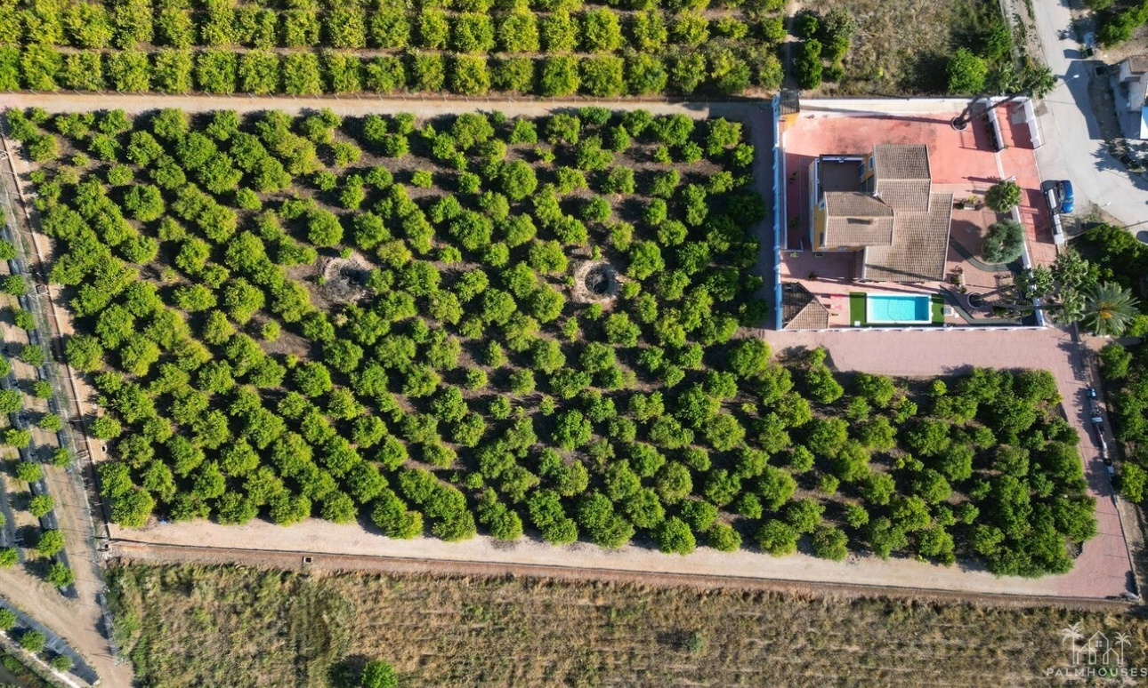 Revente - Finca - Orihuela - Inland