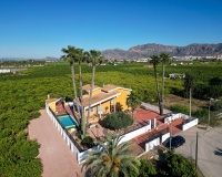 Revente - Finca - Orihuela - Inland